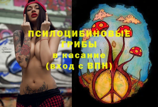 spice Алзамай