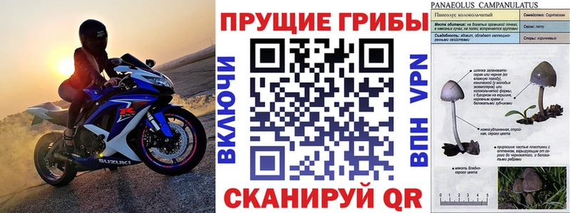 купить закладку Рубцовск Галлюциногенные грибы прущие грибы